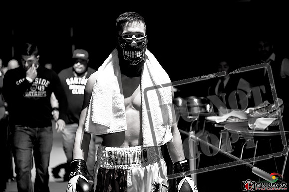 KO BOXING 81-34