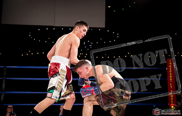 KO BOXING 81-61