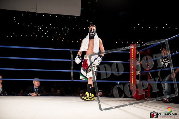 KO BOXING 81-35