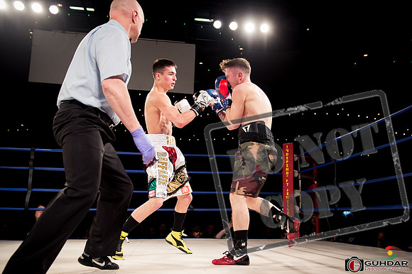 KO BOXING 81-63