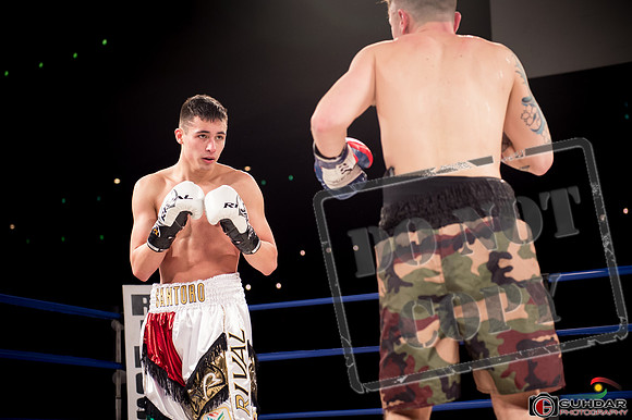 KO BOXING 81-55