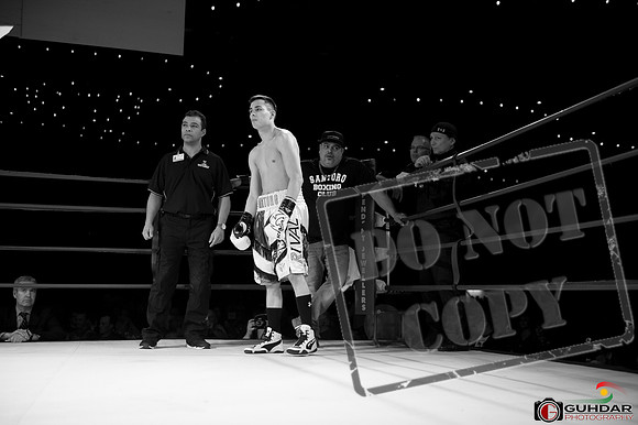 KO BOXING 81-37