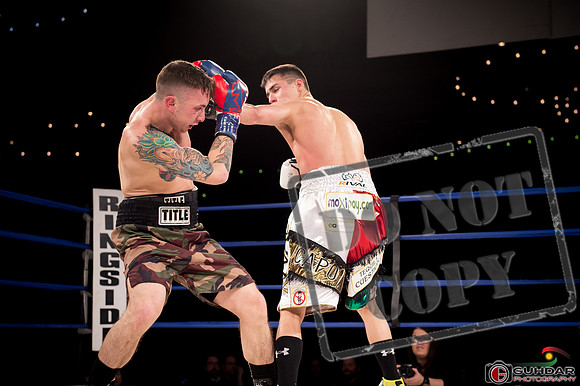 KO BOXING 81-56