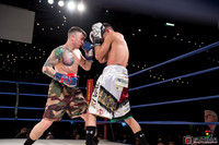 KO BOXING 81-44