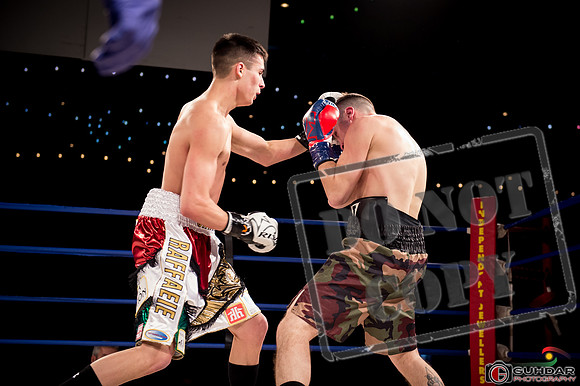 KO BOXING 81-58