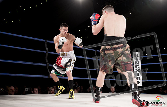 KO BOXING 81-41