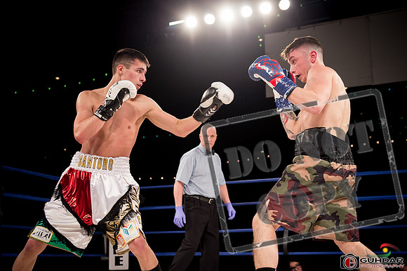 KO BOXING 81-54