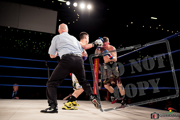 KO BOXING 81-65