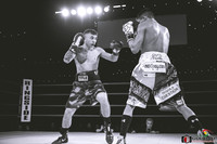KO BOXING 81-45