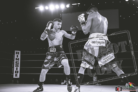 KO BOXING 81-45