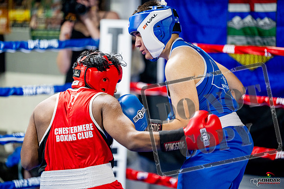 Cougar boxing June 7th 2025-0317