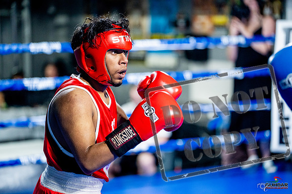 Cougar boxing June 7th 2025-0333