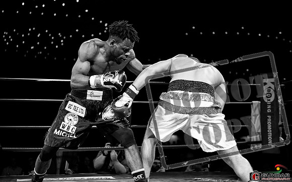KO BOXING MAR 8 2019_1483