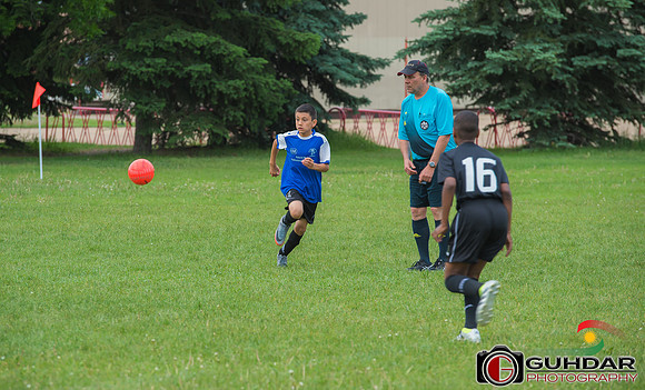 ALI_3373