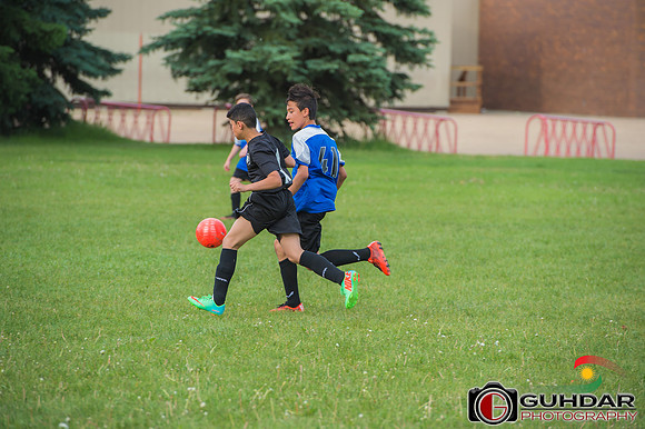 ALI_3317