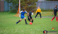 ALI_3446