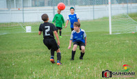 ALI_3394