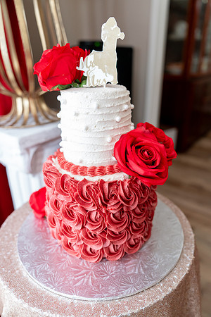 Mahmoud & Maryam Wedding -0172