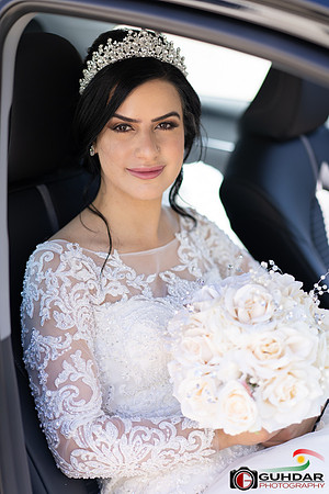 ALI00881