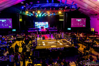 Unified Boxing -0002