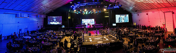 Unified Boxing -0004