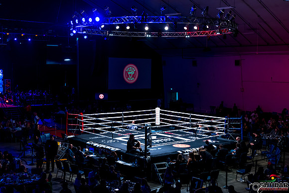 Unified Boxing -0089