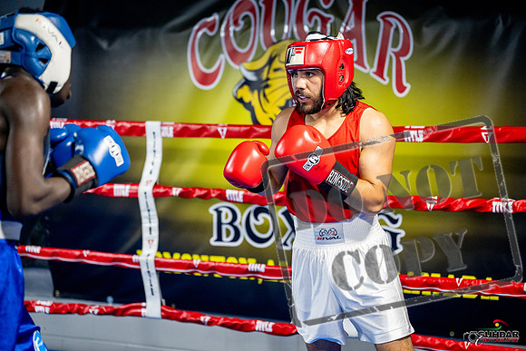 Cougar boxing June 7th 2025-0441