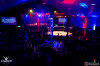 UNIFIED MMA 33 _00029