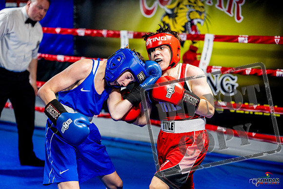 Cougar boxing June 7th 2025-0545