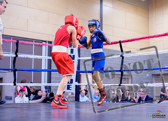 COUGAR BOXING 4th ANNUAL BOYLE STREET PLAZA APR 11 2026-0017