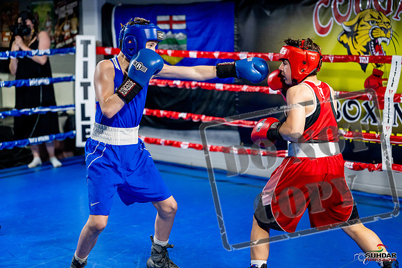 Cougar boxing June 7th 2025-0521