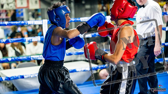 Cougar boxing June 7th 2025-0207