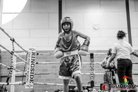 CougarBoxing Downtown Brawls Sep 23 2017_00031