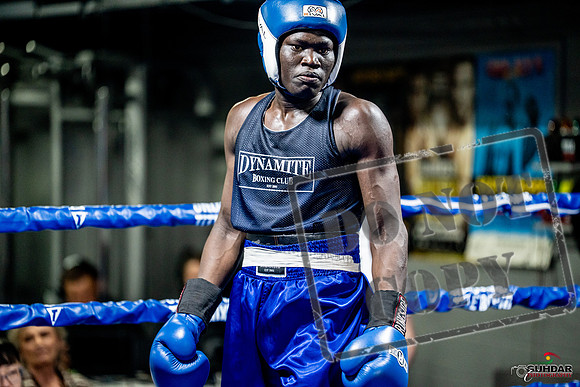 Cougar boxing June 7th 2025-0496
