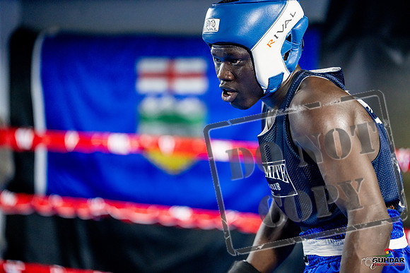 Cougar boxing June 7th 2025-0480