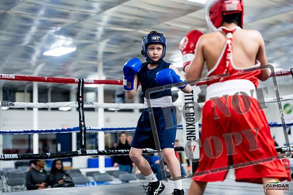 GOLDEN GLOVES CHAMPIONSHIP Apr 26 2026-0010
