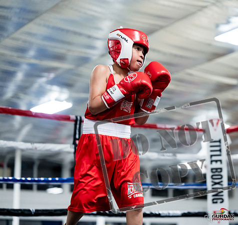 GOLDEN GLOVES CHAMPIONSHIP Apr 26 2026-0036