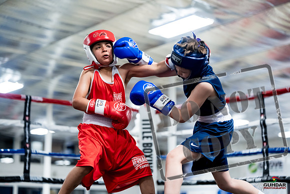 GOLDEN GLOVES CHAMPIONSHIP Apr 26 2026-0037
