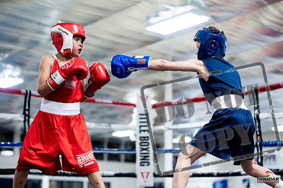 GOLDEN GLOVES CHAMPIONSHIP Apr 26 2026-0039
