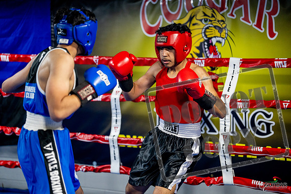 Cougar boxing June 7th 2025-0592