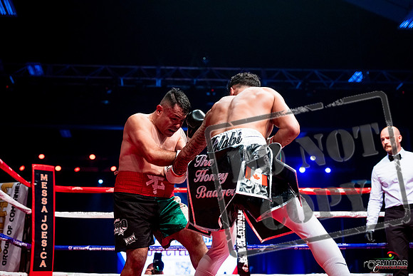 Ethan Halabi vs Abraham Gomez Tiburcio -0120