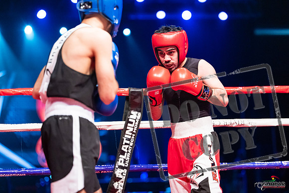 amateur boxing fights-0240