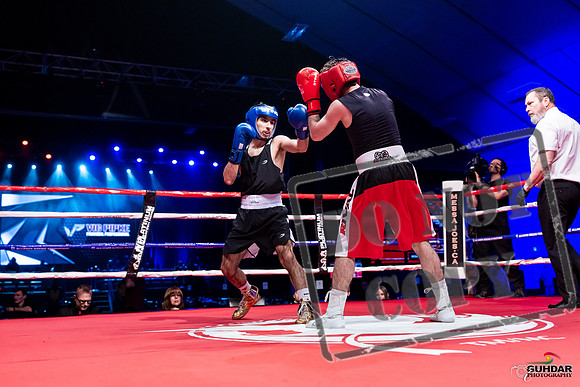 amateur boxing fights-0246