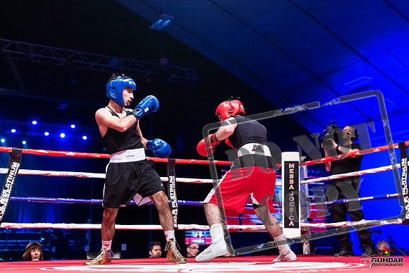 amateur boxing fights-0257