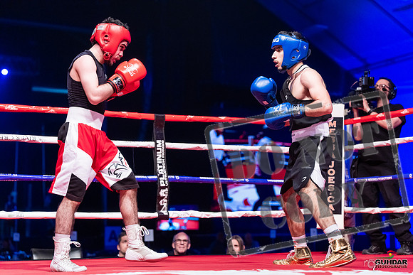 amateur boxing fights-0293