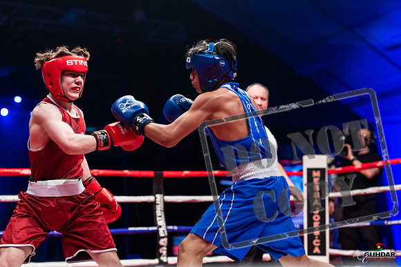 amateur boxing fights-0353
