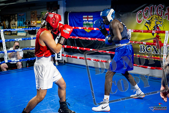 Cougar boxing June 7th 2025-0430