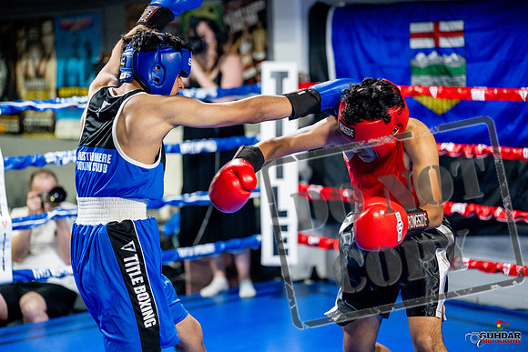 Cougar boxing June 7th 2025-0597