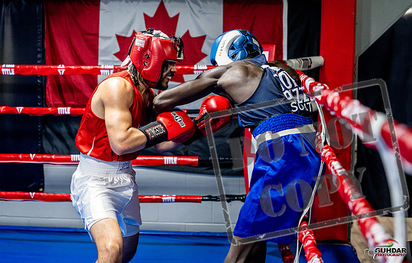 Cougar boxing June 7th 2025-0499