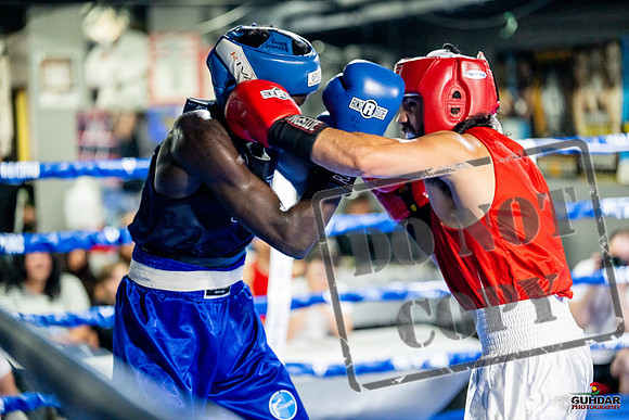 Cougar boxing June 7th 2025-0462